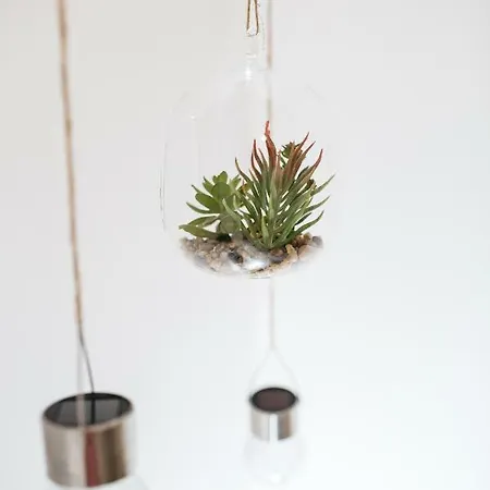 Krakivska 24 Apartamento *