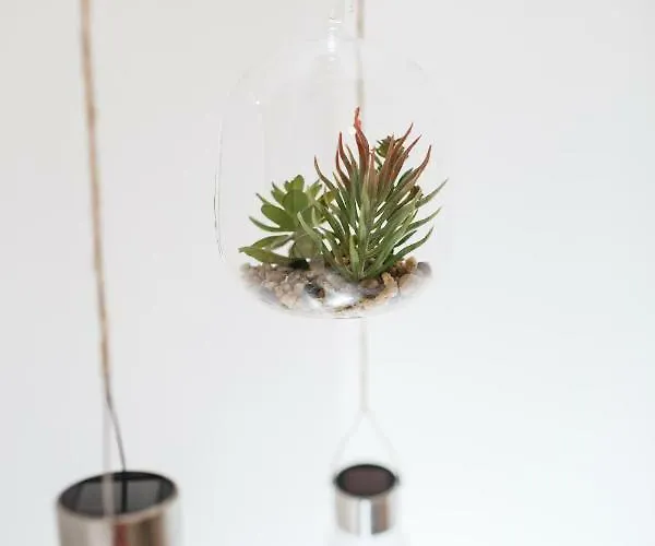 Krakivska 24 Appartement *