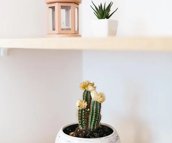 Krakivska 24 * Leópolis